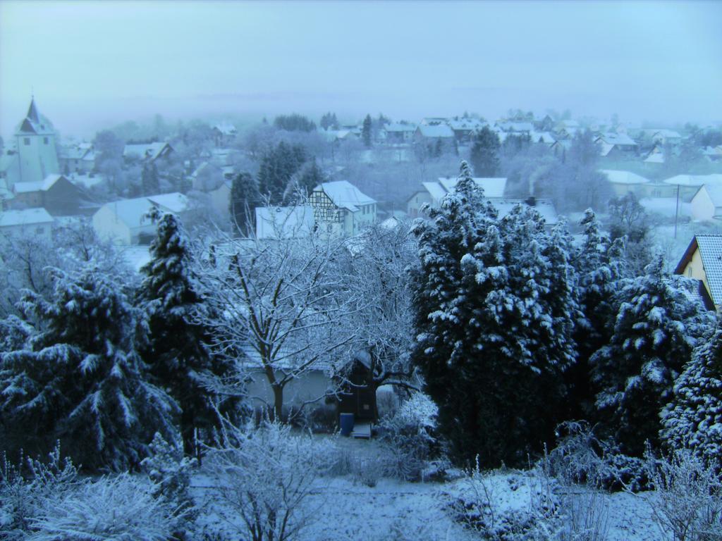 Eifel Panoramablick Διαμέρισμα Kelberg Δωμάτιο φωτογραφία